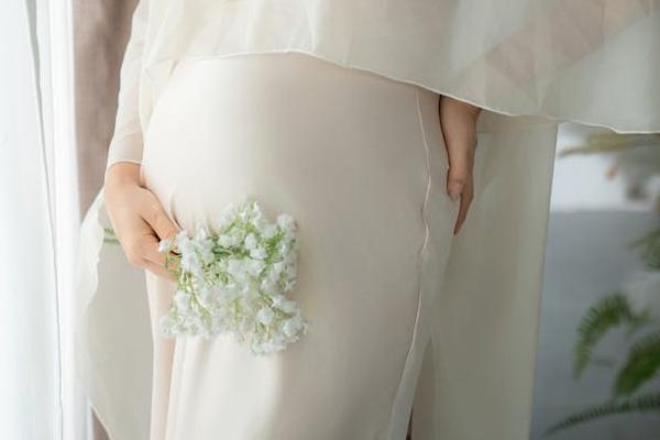 同性恋代孕流程