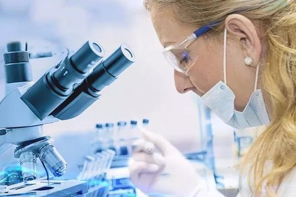 ICSI(单精子注射)技术流程