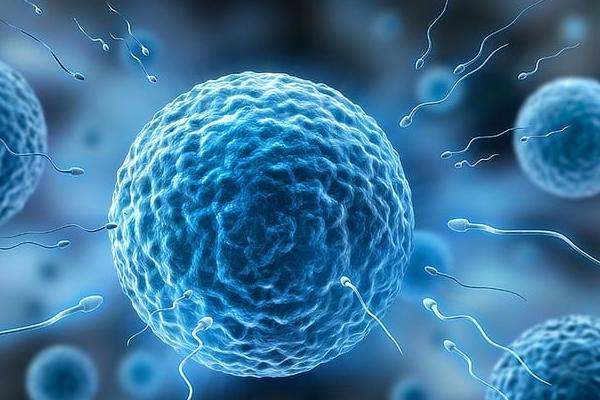 男性精子质量不佳需要使用ICSI