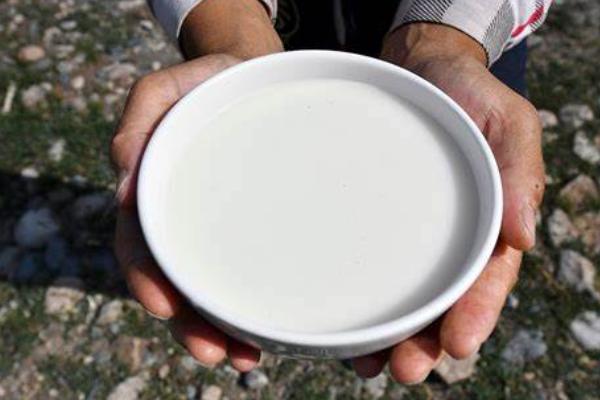 乳制品丰富帮胎儿补钙