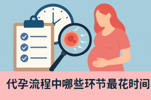 代孕流程中哪些环节最花时间