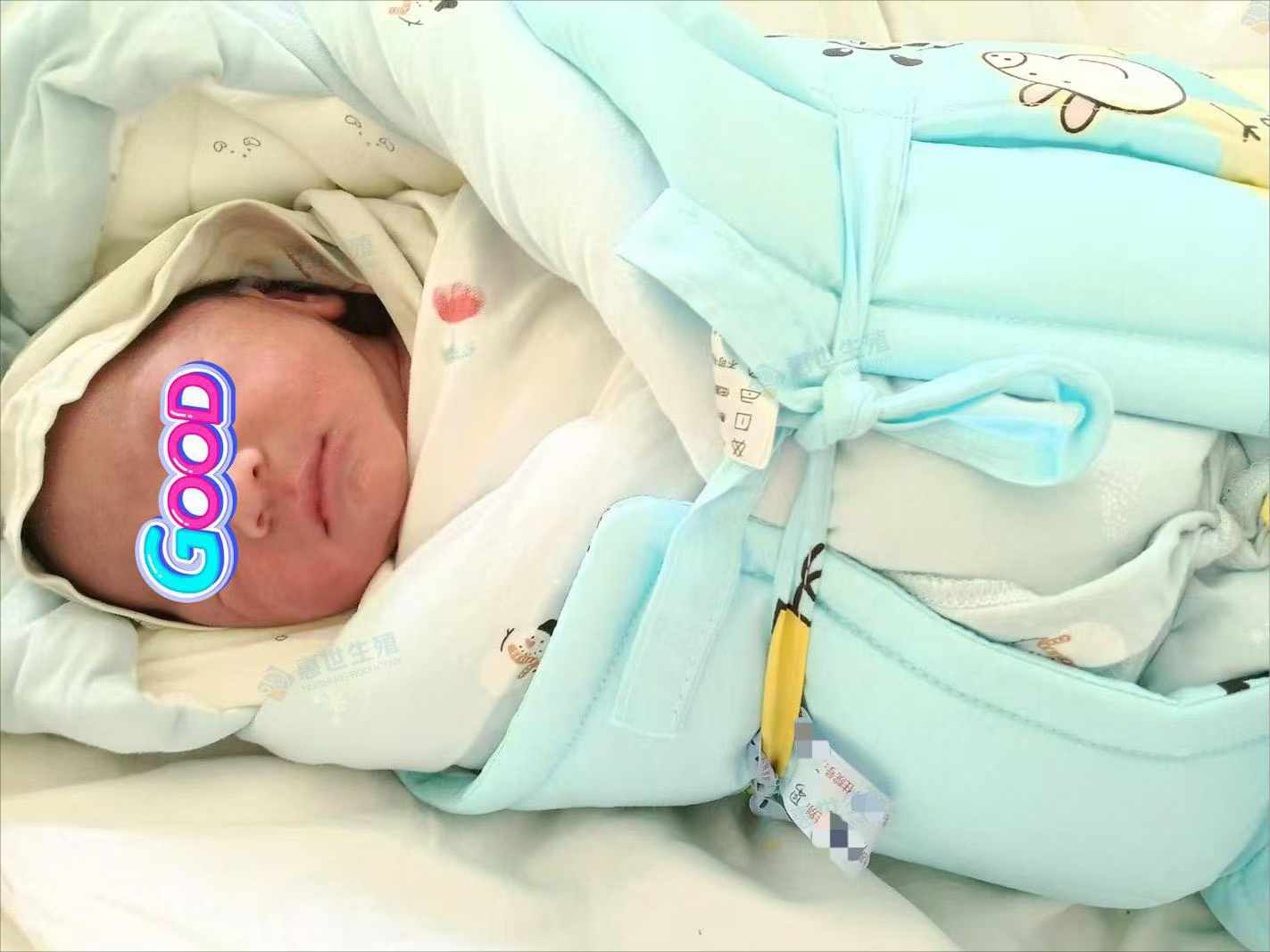 代孕机构的真实案例