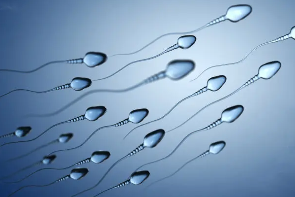 精子活力低需要精子洗涤
