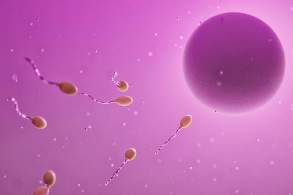 限制卵妹年龄的原因